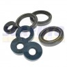 Serie paraoli motore KTM GS 250cc 2t