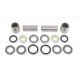 Kit Revisione e Cuscinetti Leveraggio SUZUKI RM 125/250