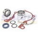 Kit Revisione Revisione Albero Motore PIAGGIO SI-CIAO-BOXER-GRILLO 50cc 2 tempi