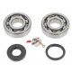 Kit Revisione Revisione Albero Motore PIAGGIO VESPA 125 1953-1958