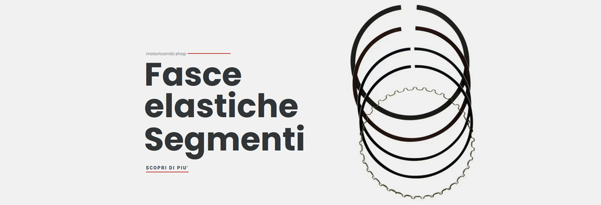 Utilizza il nuovissimo motore di ricerca per fasce elastiche pistone